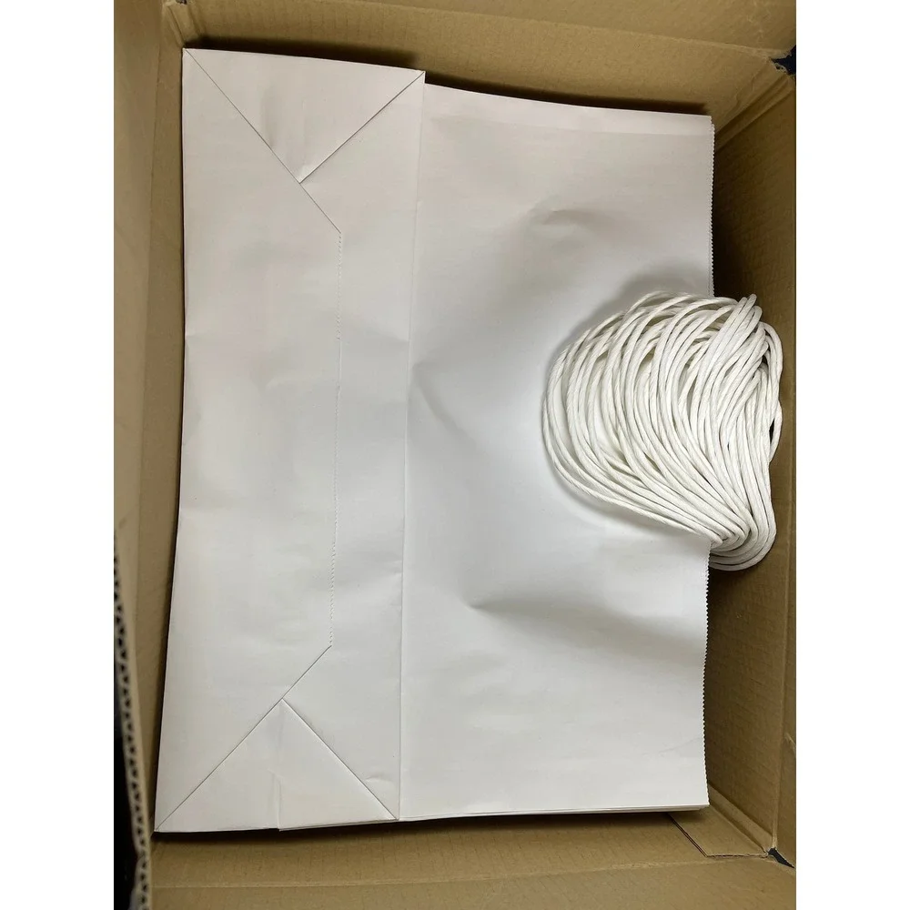ECOPB 30 Pack Large White Paper Gift Bags with Twisted Handles 16x12x6 ECOPB-K